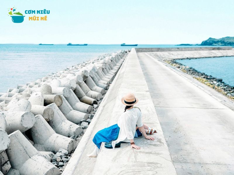 Bãi Biển Đá Ông Địa