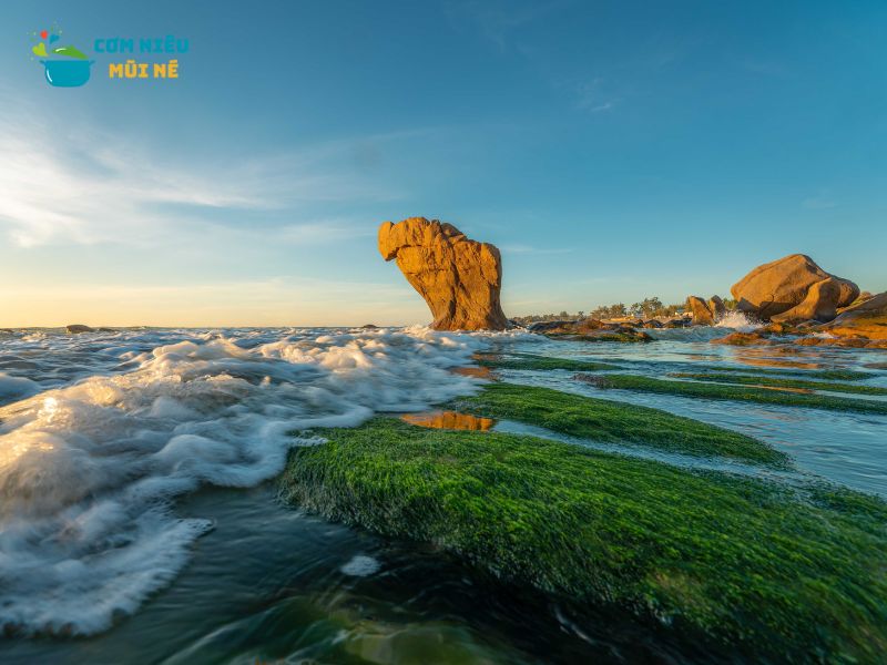 Bãi Biển Cổ Thạch Mũi Né