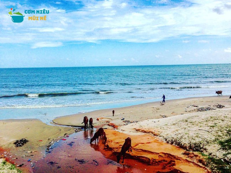 Hoạt Động Thú Vị Tại Bãi Tắm Hòn Rơm Mũi Né