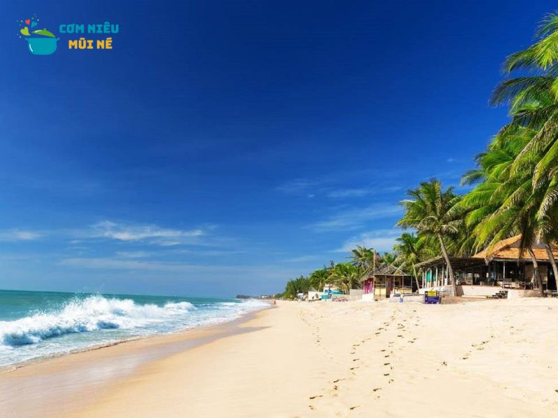 Thời Điểm Du Lịch Hòn Rơm