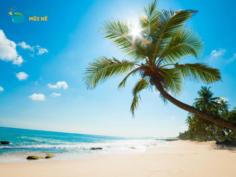 Bãi Rạng Mũi Né