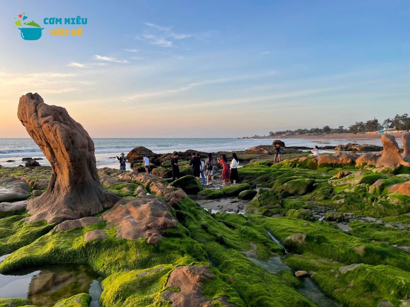 Bãi Đá Cổ Thạch