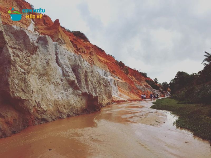 Du Lịch Suối Hồng