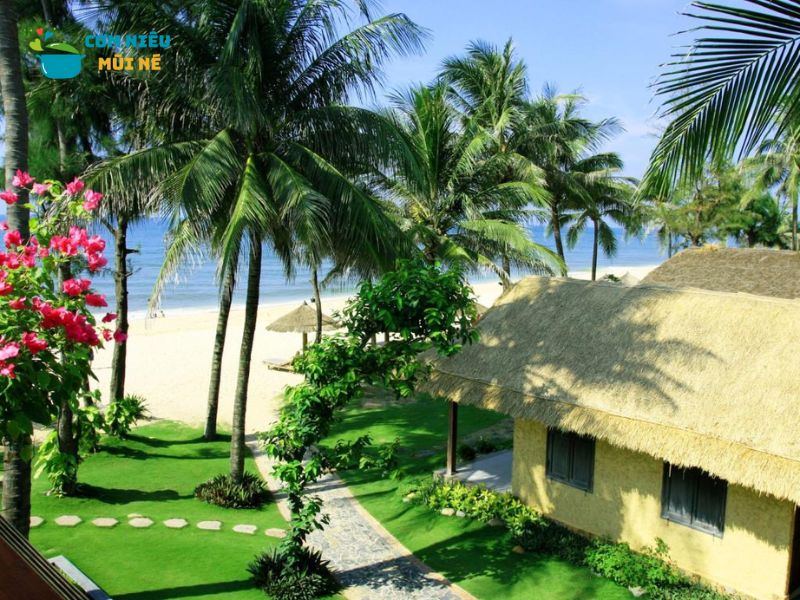 Tổng Quan Về Làng Tre Mũi Né