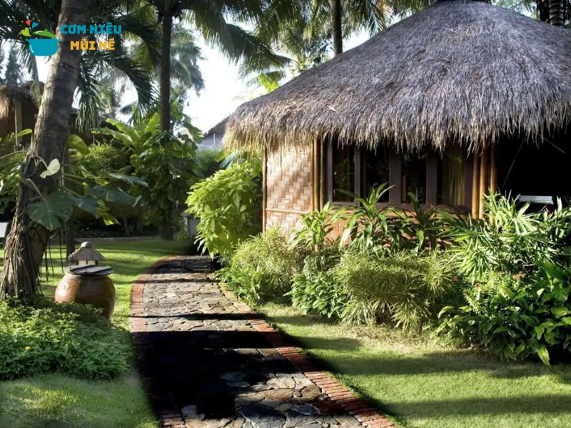 Du Lịch Làng Tre Mũi Né